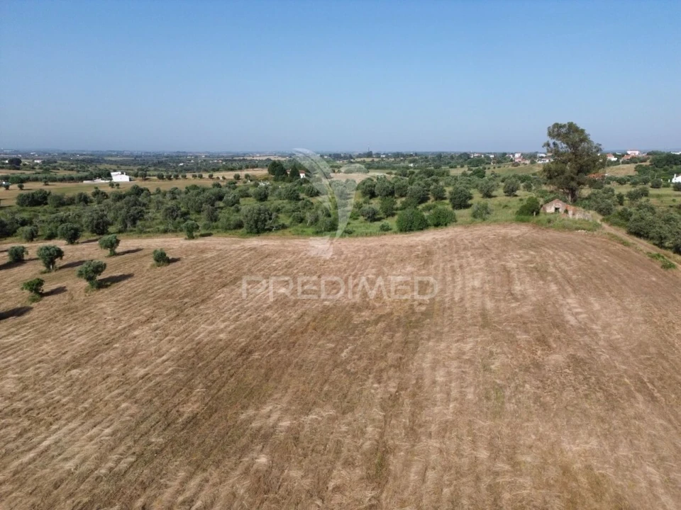 Terreno para Venda em Brogueira, Parceiros de Igreja e Alcorochel Foto 8