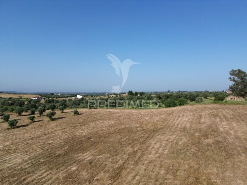 Terreno para Venda em Brogueira, Parceiros de Igreja e Alcorochel Foto 7