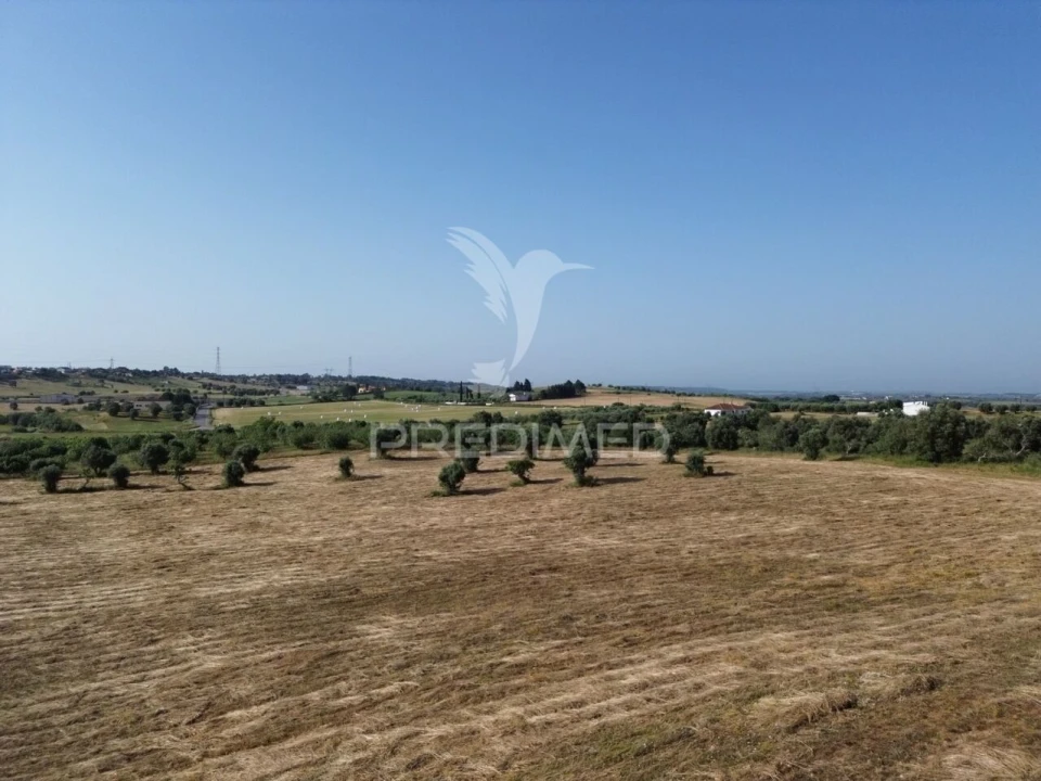 Terreno para Venda em Brogueira, Parceiros de Igreja e Alcorochel Foto 6