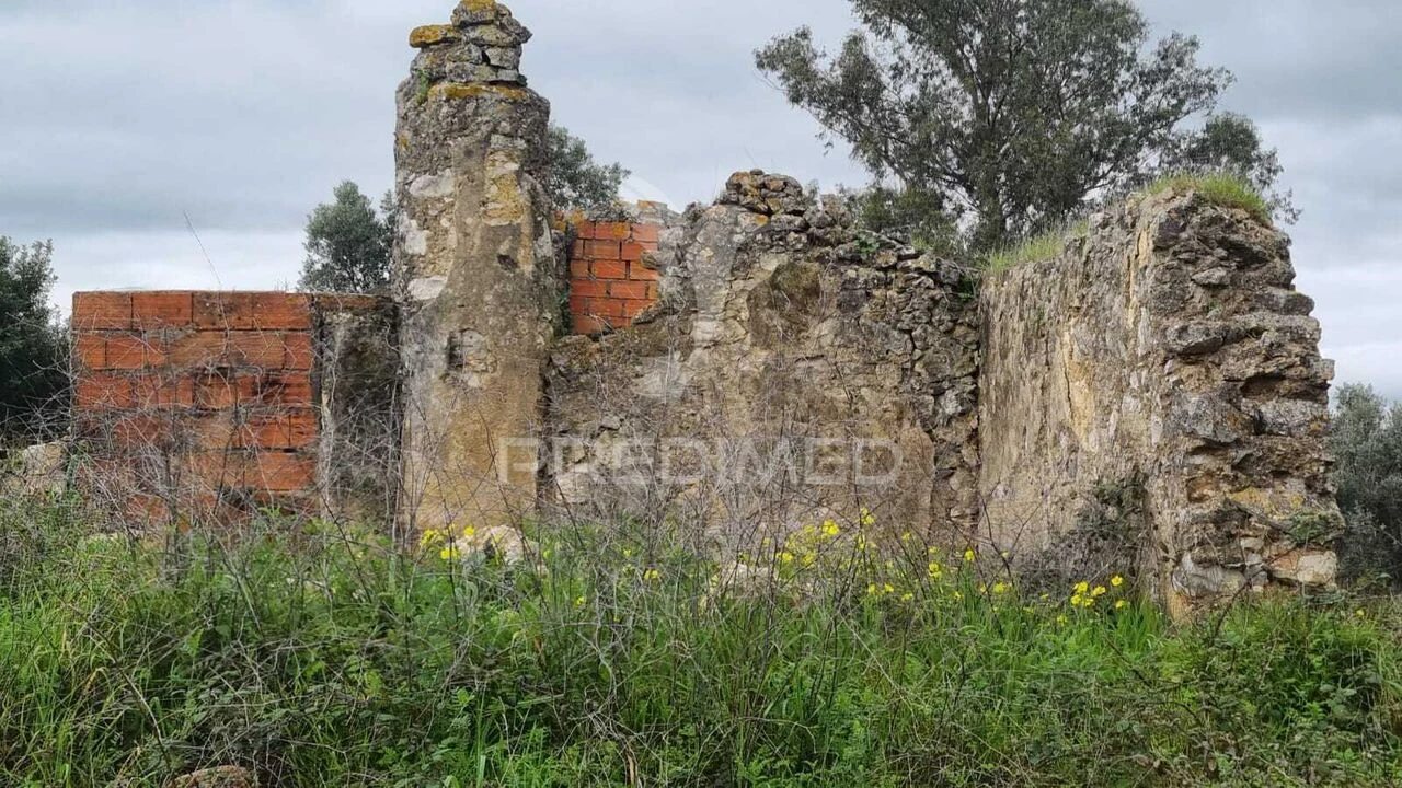 Terreno para Venda em Brogueira, Parceiros de Igreja e Alcorochel Foto 28