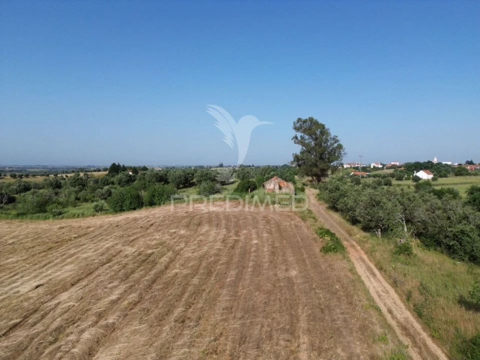Terreno para Venda em Brogueira, Parceiros de Igreja e Alcorochel Foto 11