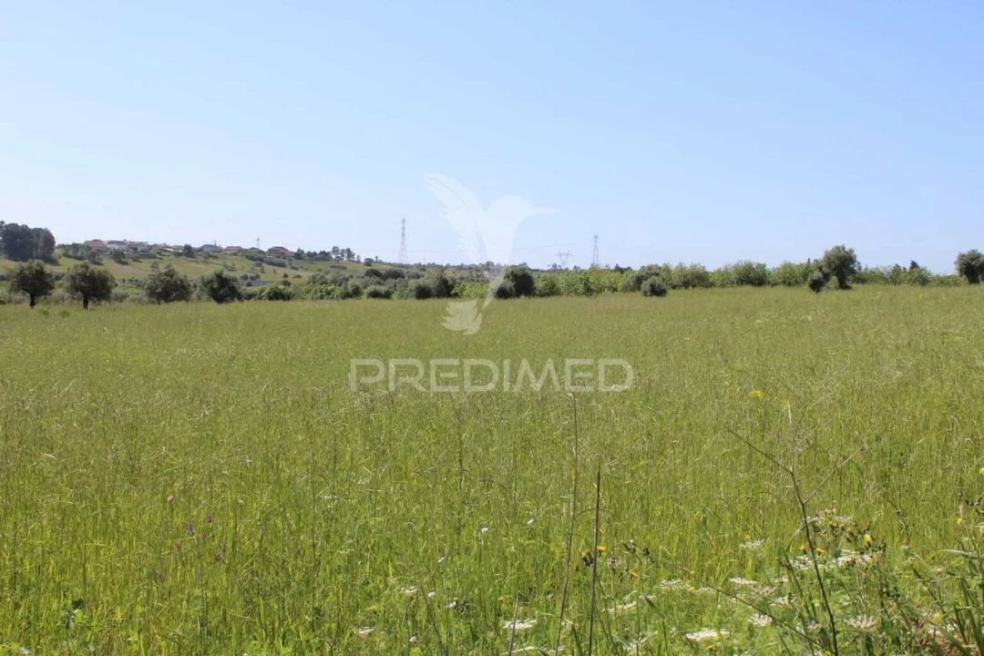 Terreno para Venda em Brogueira, Parceiros de Igreja e Alcorochel Foto 17