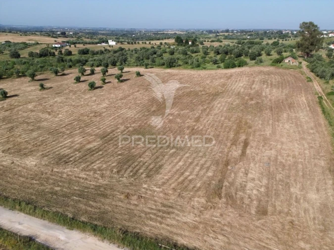Terreno para Venda em Brogueira, Parceiros de Igreja e Alcorochel Foto 1