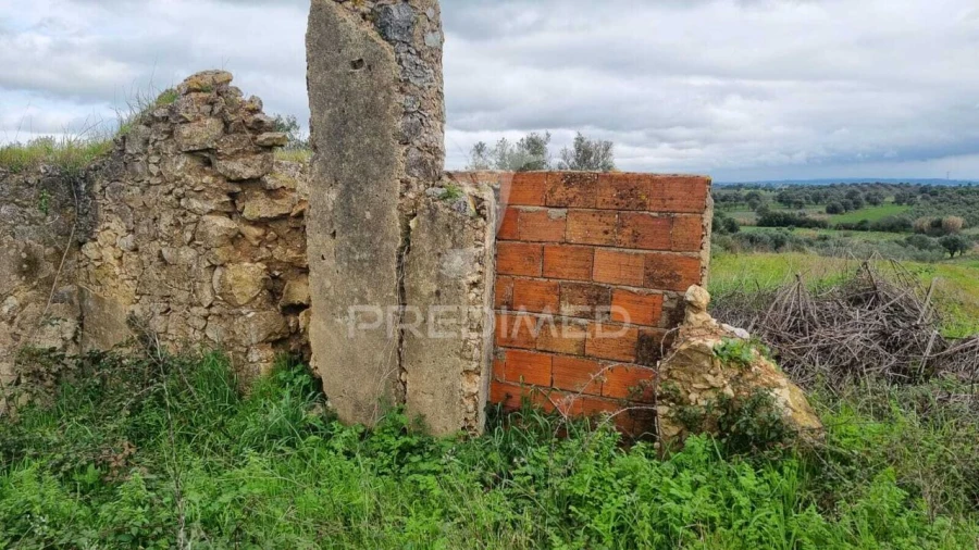 Terreno para Venda em Brogueira, Parceiros de Igreja e Alcorochel Foto 30