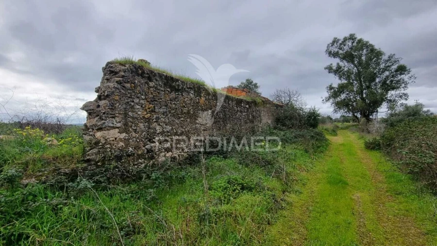 Terreno para Venda em Brogueira, Parceiros de Igreja e Alcorochel Foto 27