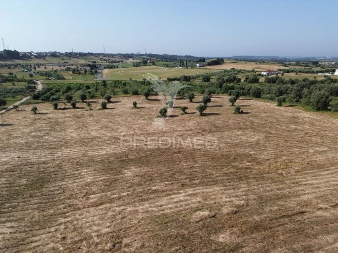 Terreno para Venda em Brogueira, Parceiros de Igreja e Alcorochel Foto 9