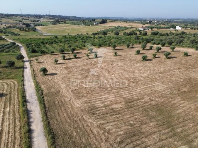 Terreno para Venda em Brogueira, Parceiros de Igreja e Alcorochel Foto 2