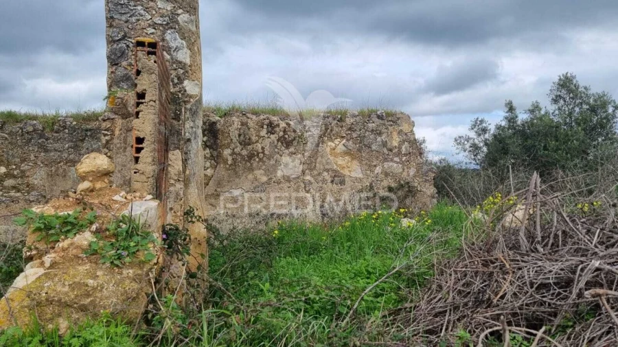Terreno para Venda em Brogueira, Parceiros de Igreja e Alcorochel Foto 29