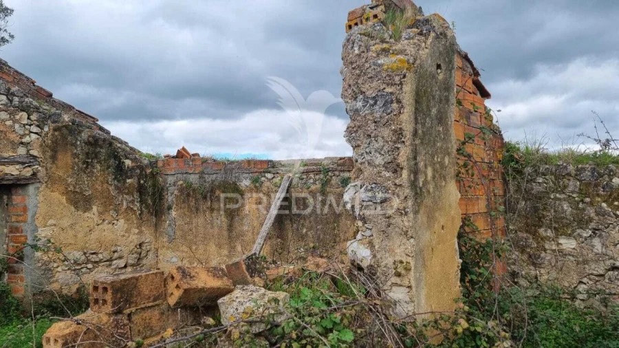 Terreno para Venda em Brogueira, Parceiros de Igreja e Alcorochel Foto 24