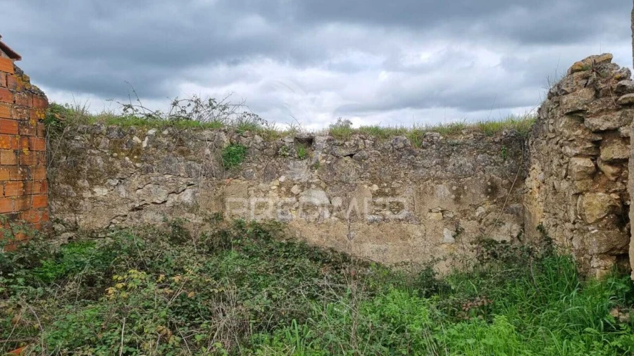 Terreno para Venda em Brogueira, Parceiros de Igreja e Alcorochel Foto 25