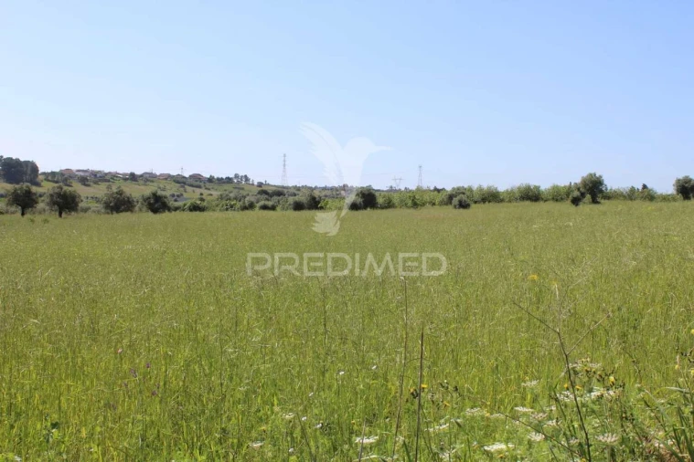 Terreno para Venda em Brogueira, Parceiros de Igreja e Alcorochel Foto 17