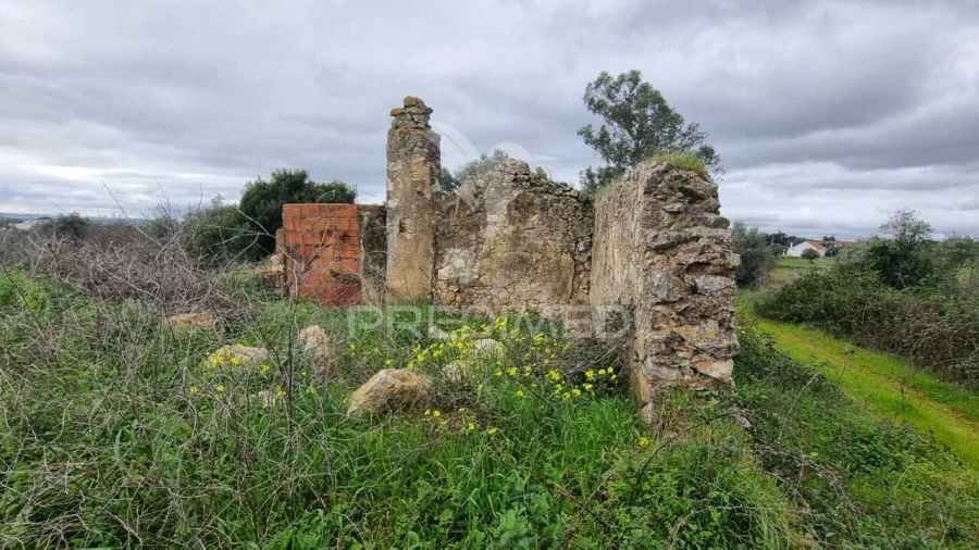 Terreno para Venda em Brogueira, Parceiros de Igreja e Alcorochel Foto 22