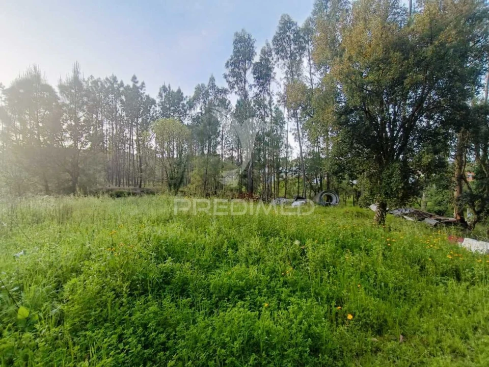 Terreno para Venda em Gondemaria e Olival Foto 17