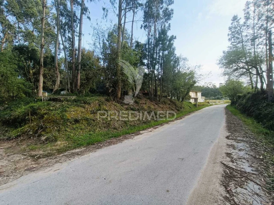 Terreno para Venda em Gondemaria e Olival Foto 9