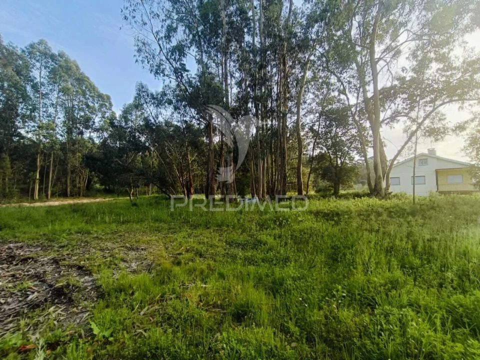 Terreno para Venda em Gondemaria e Olival Foto 15