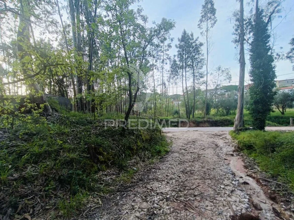 Terreno para Venda em Gondemaria e Olival Foto 7