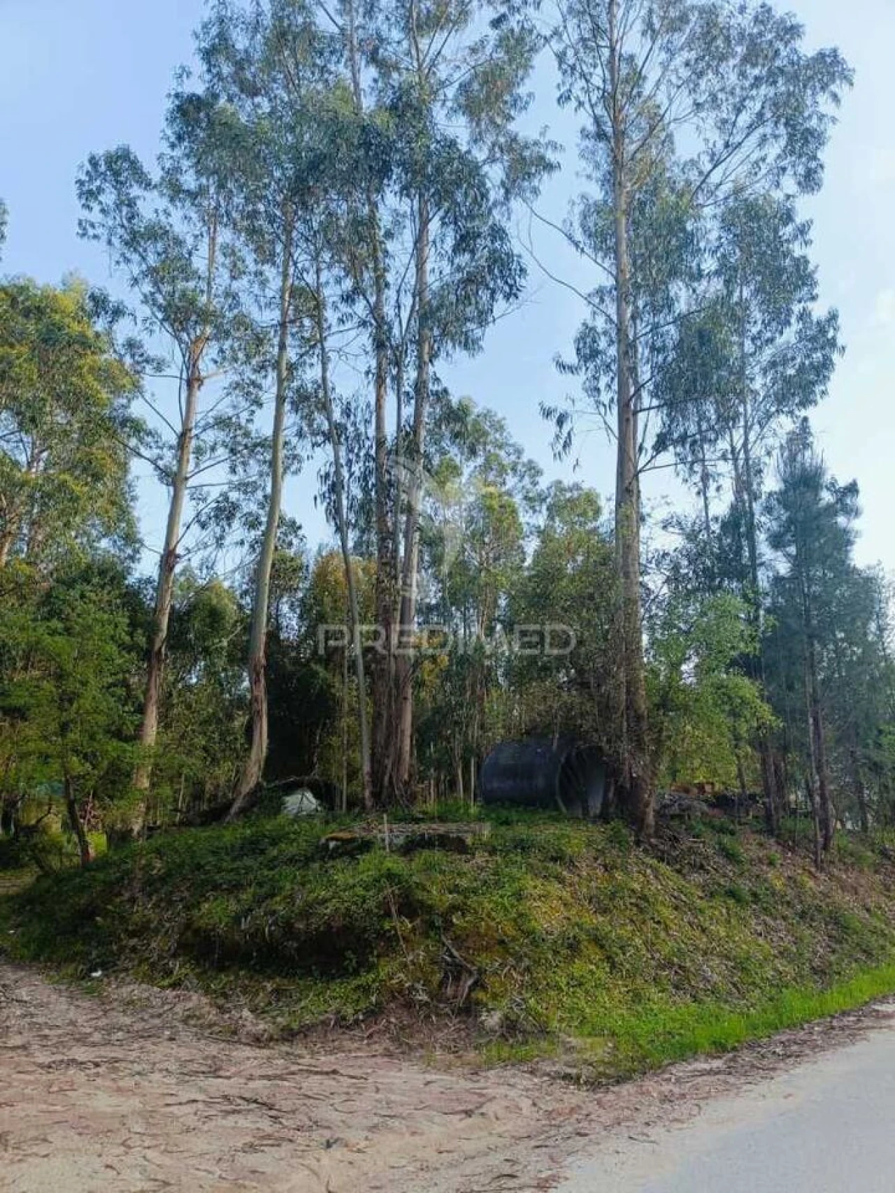 Terreno para Venda em Gondemaria e Olival Foto 2