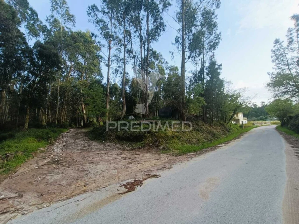 Terreno para Venda em Gondemaria e Olival Foto 4