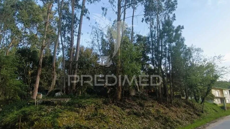 Terreno para Venda em Gondemaria e Olival