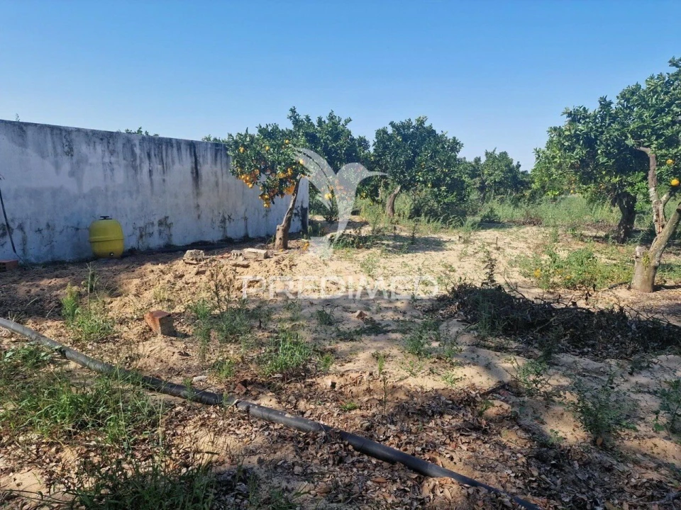 Quinta T6 para Venda em Santiago do Cacém, Santa Cruz e São Bartolomeu da Serra Foto 19