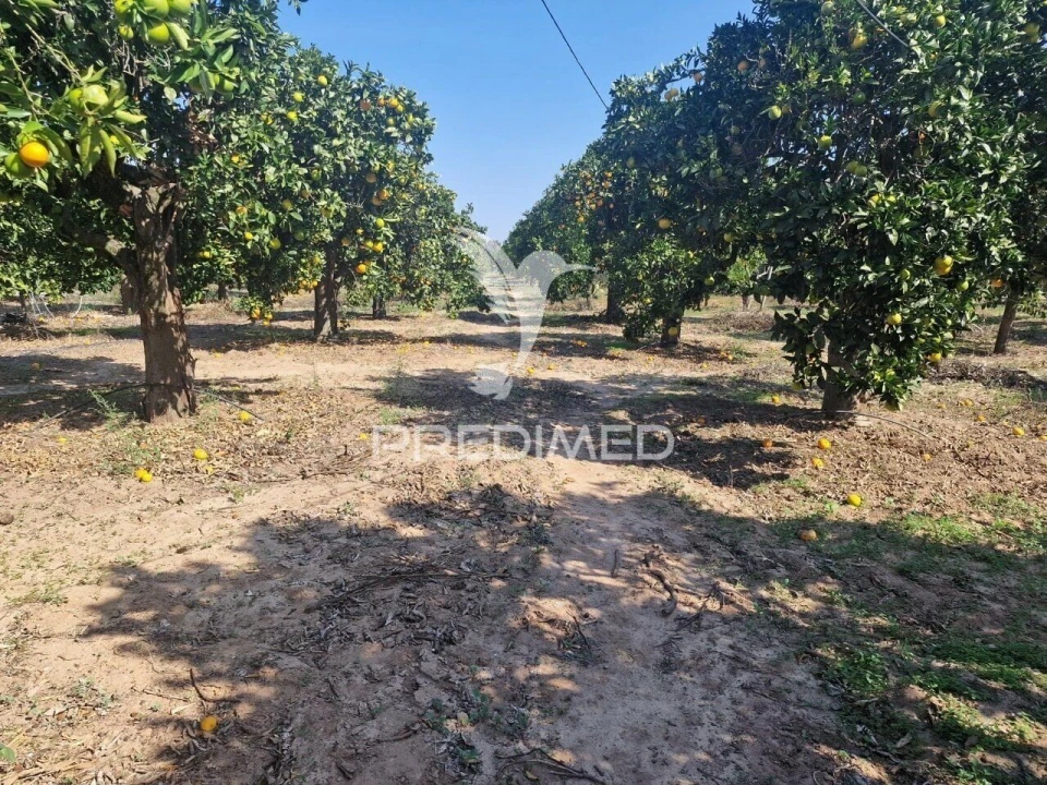 Quinta T6 para Venda em Santiago do Cacém, Santa Cruz e São Bartolomeu da Serra Foto 20