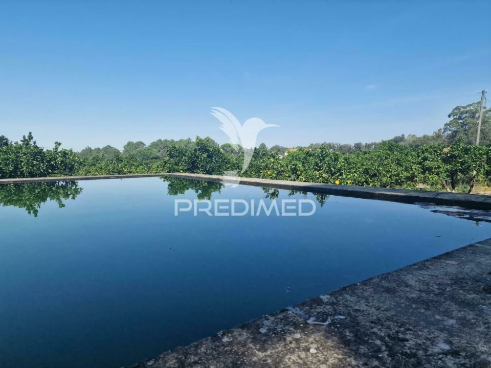 Quinta T6 para Venda em Santiago do Cacém, Santa Cruz e São Bartolomeu da Serra Foto 2