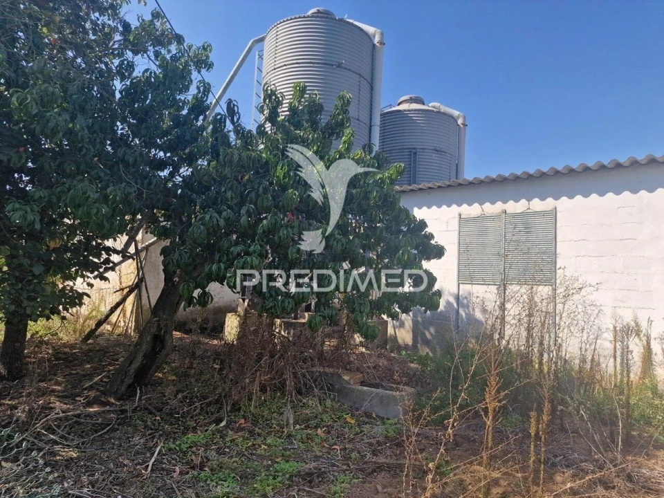 Quinta T6 para Venda em Santiago do Cacém, Santa Cruz e São Bartolomeu da Serra Foto 15