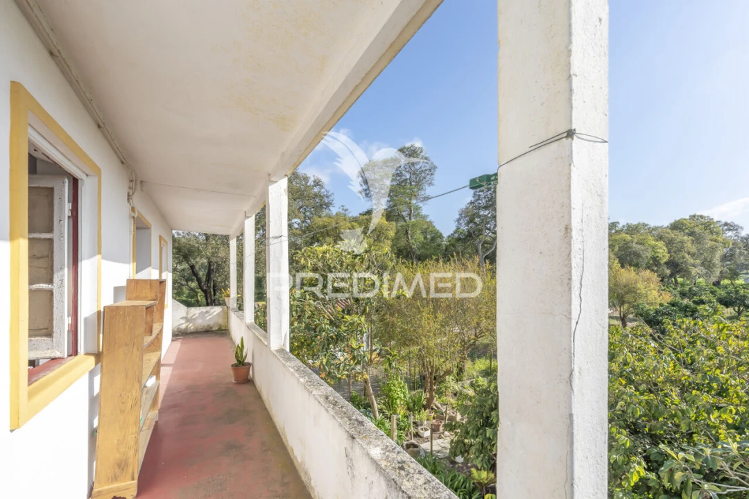 Quinta T6 para Venda em Santiago do Cacém, Santa Cruz e São Bartolomeu da Serra Foto 1