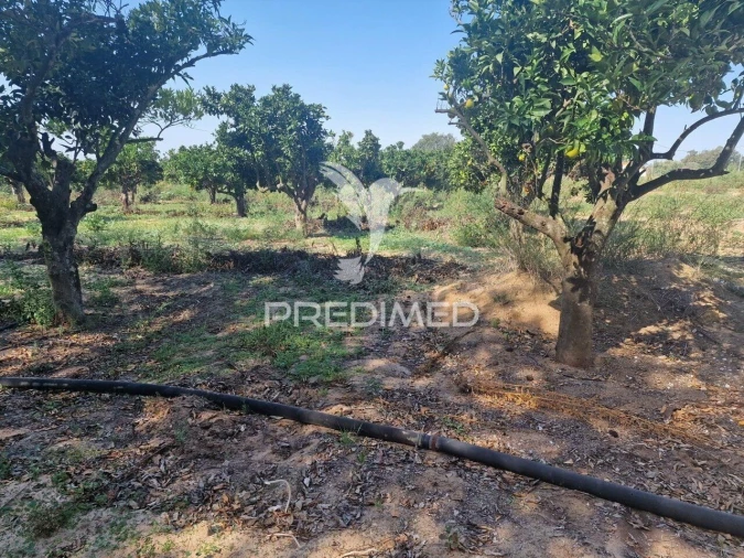Quinta T6 para Venda em Santiago do Cacém, Santa Cruz e São Bartolomeu da Serra Foto 22