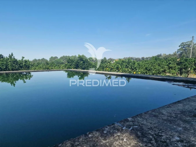 Quinta T6 para Venda em Santiago do Cacém, Santa Cruz e São Bartolomeu da Serra Foto 2