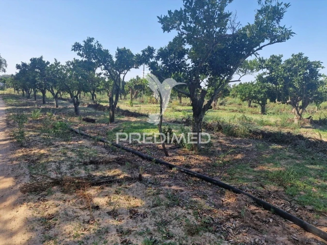 Quinta T6 para Venda em Santiago do Cacém, Santa Cruz e São Bartolomeu da Serra Foto 21