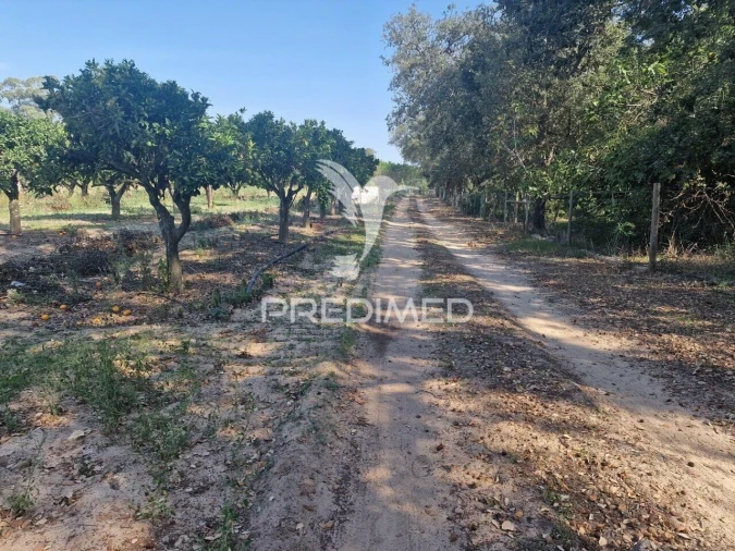 Quinta T6 para Venda em Santiago do Cacém, Santa Cruz e São Bartolomeu da Serra Foto 24
