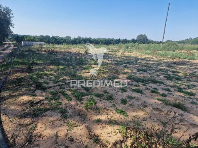 Quinta T6 para Venda em Santiago do Cacém, Santa Cruz e São Bartolomeu da Serra Foto 25