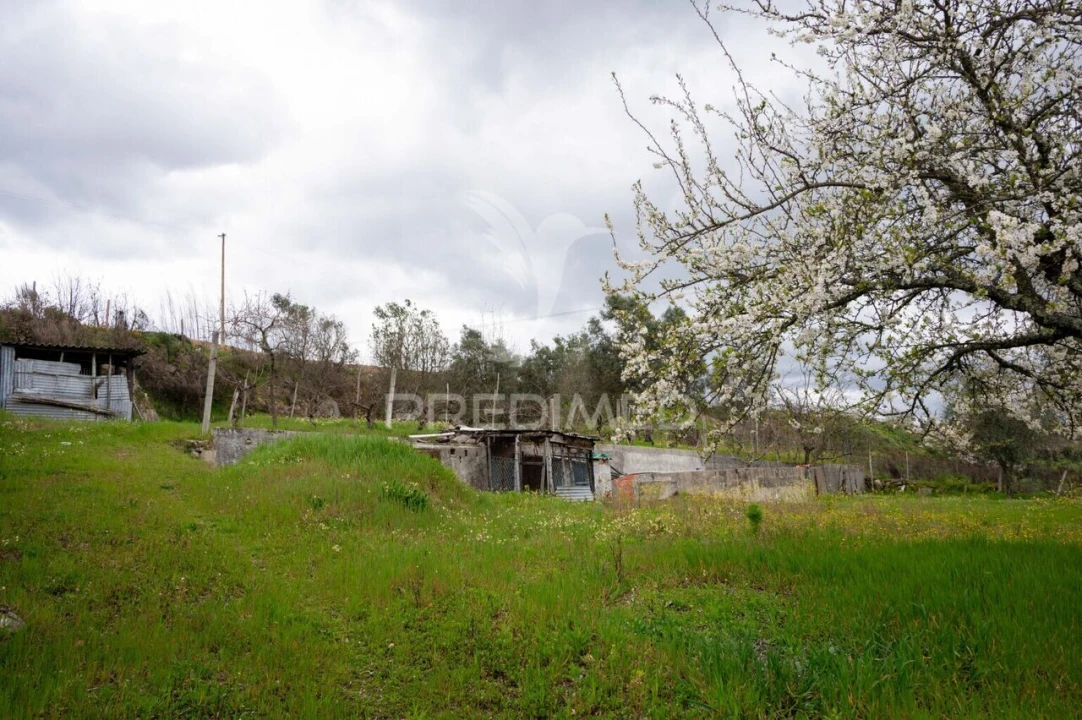 Moradia T5 para Venda em Mangualde, Mesquitela e Cunha Alta Foto 28