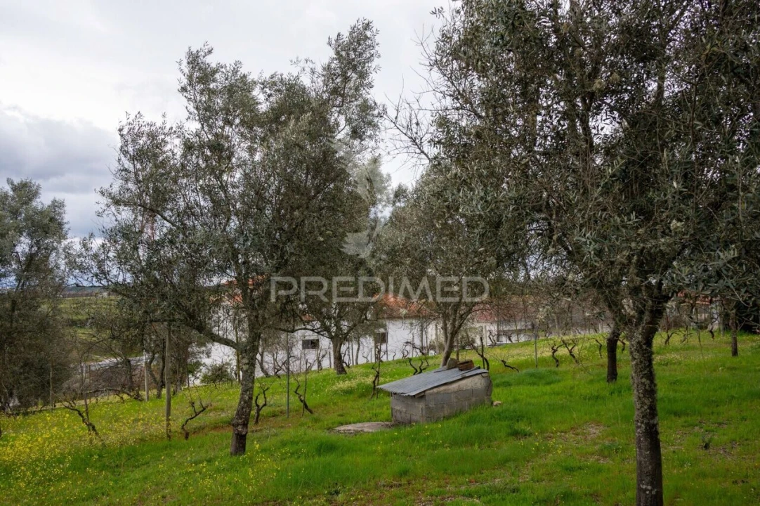 Moradia T5 para Venda em Mangualde, Mesquitela e Cunha Alta Foto 30