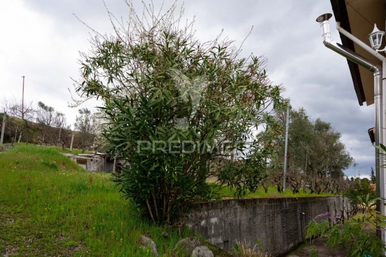 Moradia T5 para Venda em Mangualde, Mesquitela e Cunha Alta Foto 29