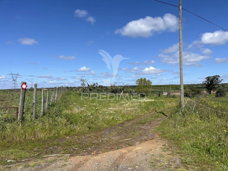 Terreno para Venda em Alfundão e Peroguarda Foto 5