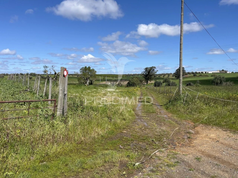 Terreno para Venda em Alfundão e Peroguarda Foto 6