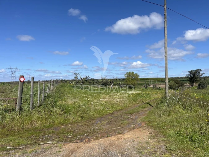Terreno para Venda em Alfundão e Peroguarda Foto 5