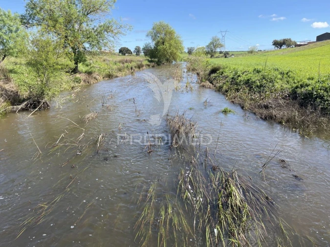 Terreno para Venda em Alfundão e Peroguarda Foto 7