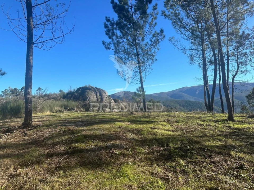 Terreno para Venda em Aboadela, Sanche e Várzea Foto 14