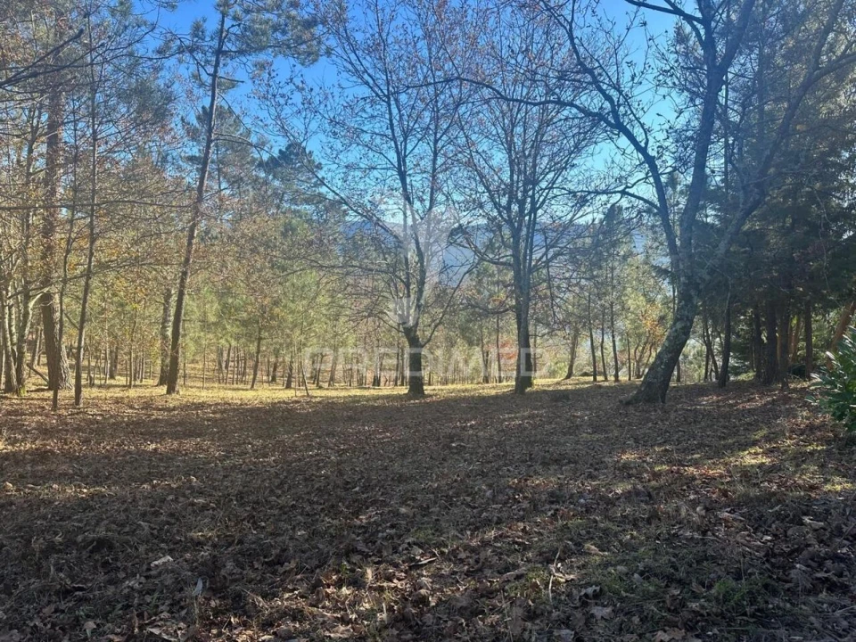 Terreno para Venda em Aboadela, Sanche e Várzea Foto 16