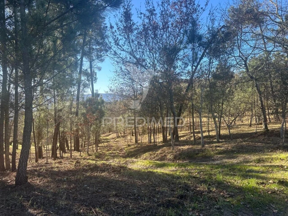 Terreno para Venda em Aboadela, Sanche e Várzea Foto 6
