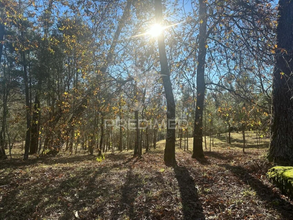 Terreno para Venda em Aboadela, Sanche e Várzea Foto 2