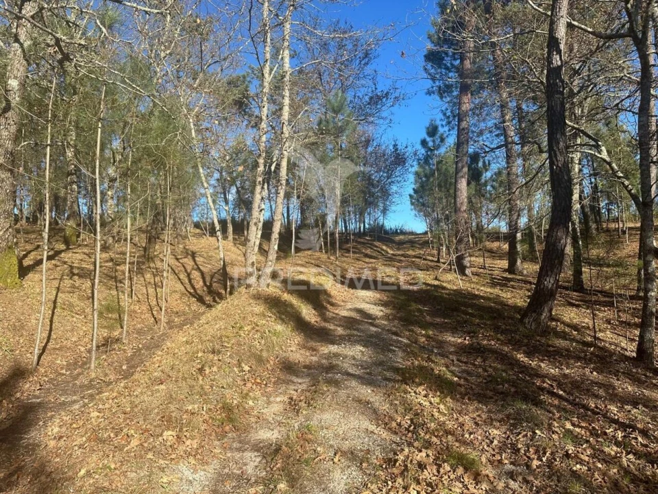 Terreno para Venda em Aboadela, Sanche e Várzea Foto 9