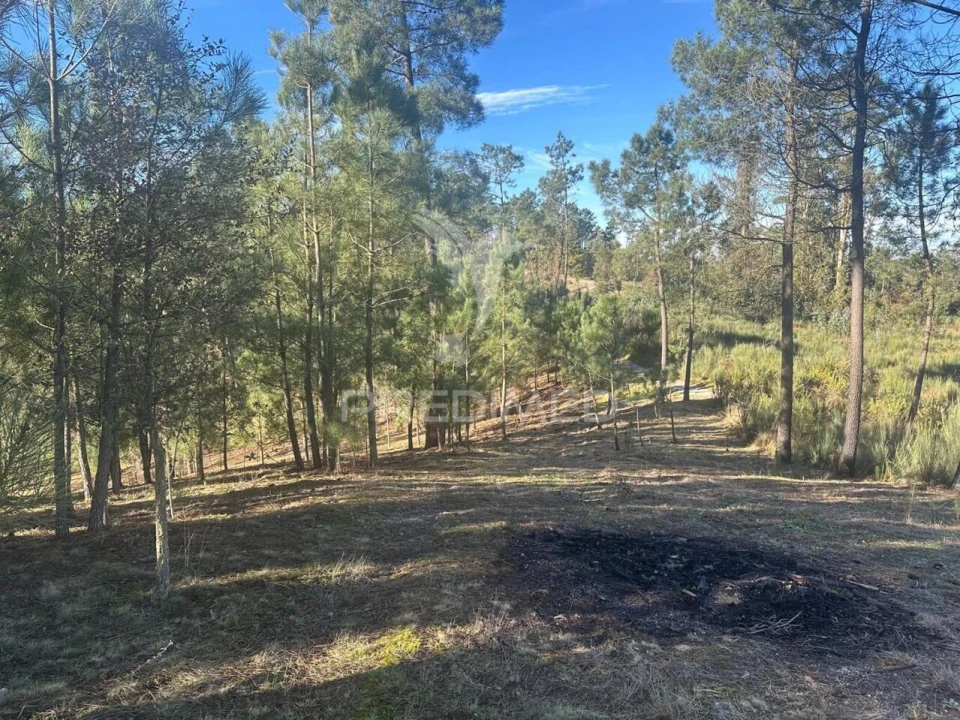 Terreno para Venda em Aboadela, Sanche e Várzea Foto 13