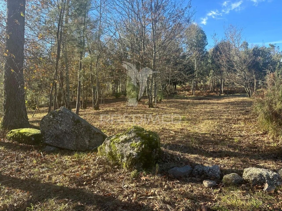 Terreno para Venda em Aboadela, Sanche e Várzea Foto 1