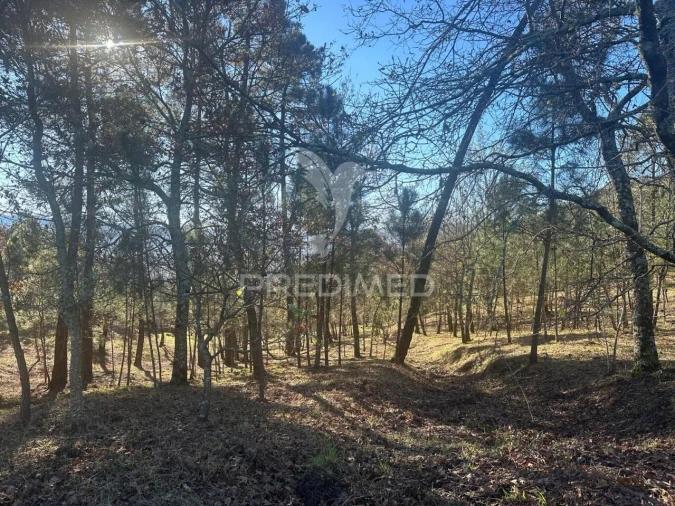 Terreno para Venda em Aboadela, Sanche e Várzea Foto 5