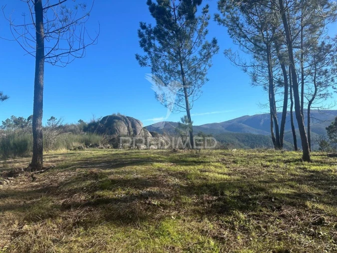 Terreno para Venda em Aboadela, Sanche e Várzea Foto 14