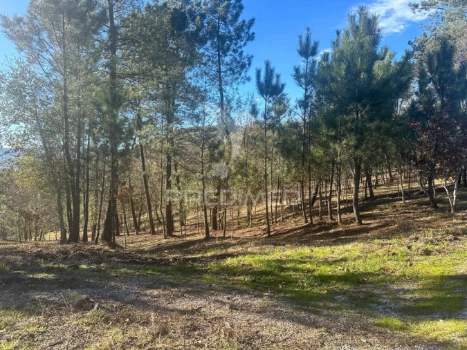 Terreno para Venda em Aboadela, Sanche e Várzea Foto 12